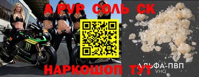 стафф Кингисепп