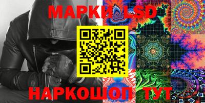стафф Кингисепп