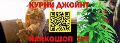 стафф Кингисепп