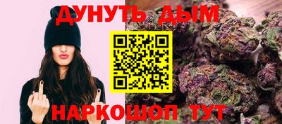 стафф Кингисепп