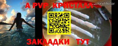 стафф Кингисепп