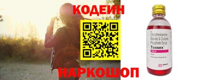 стафф Кингисепп