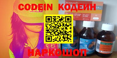 стафф Кингисепп