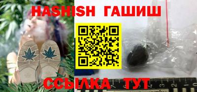стафф Кингисепп