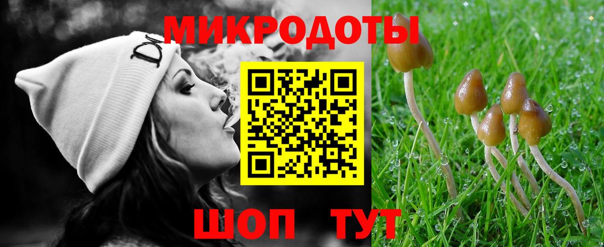 Псилоцибиновые грибы ЛСД  Вход с VPN  Курчалой 