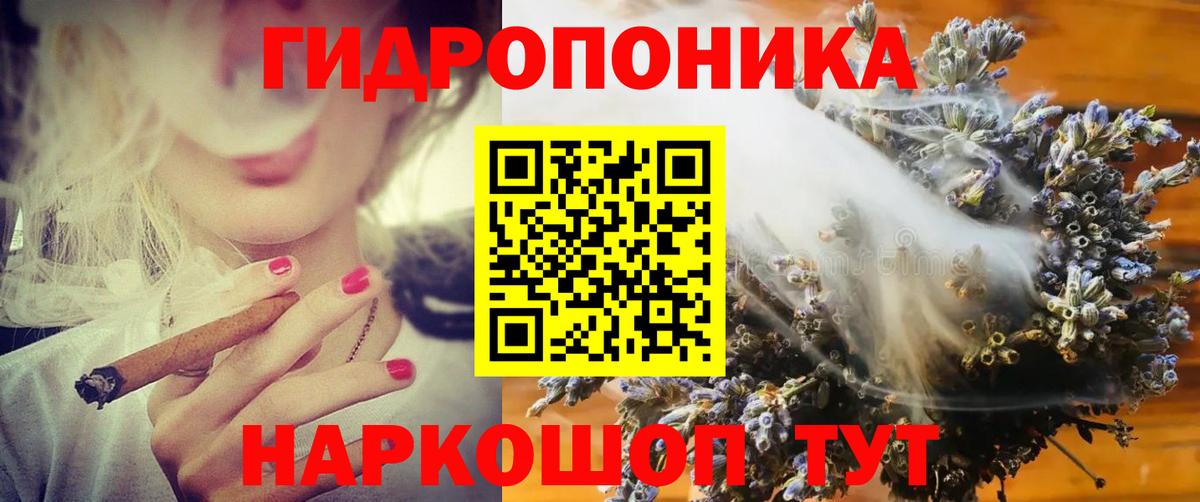 Бошки Шишки ГИДРОПОН  Вход с VPN  МАРИХУАНА планчик  Бошки марихуана индика  Курчалой 